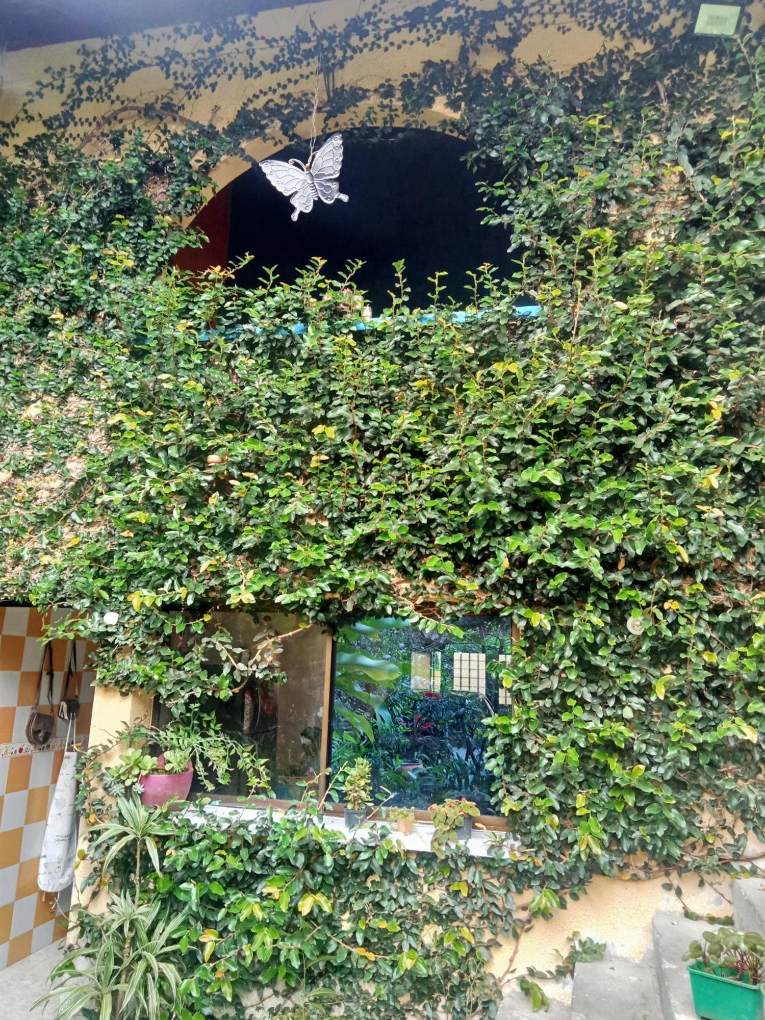 Acogedor Apartaestudio Armenia  Exterior photo